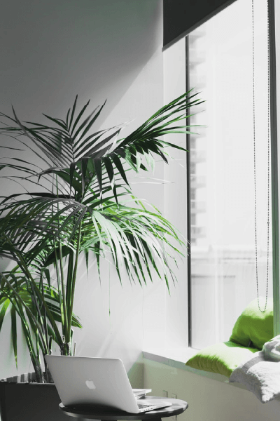 biofilia diseño de interiores