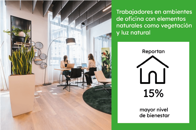 diseño biofilico