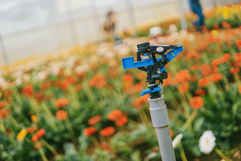 cuidado de plantas en invierno