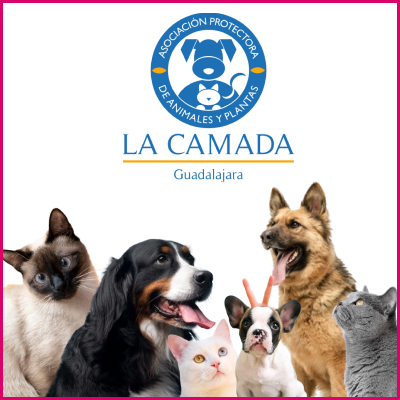 Logo La Camada