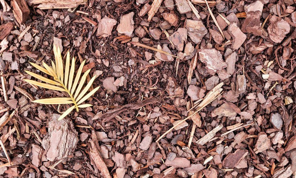 beneficios uso mantillo plantas jardin