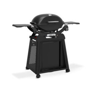 Parrilla de gas portátil en soporte con ruedas