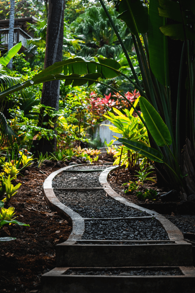 Sendero curvo en jardín tropical exuberante
