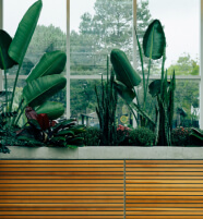 Plantas verdes junto a ventana en interior moderno