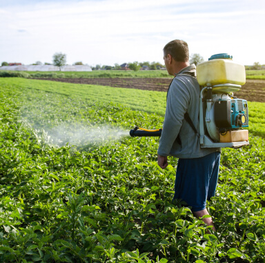 Agricultor fumigando cultivo con mochila pulverizadora